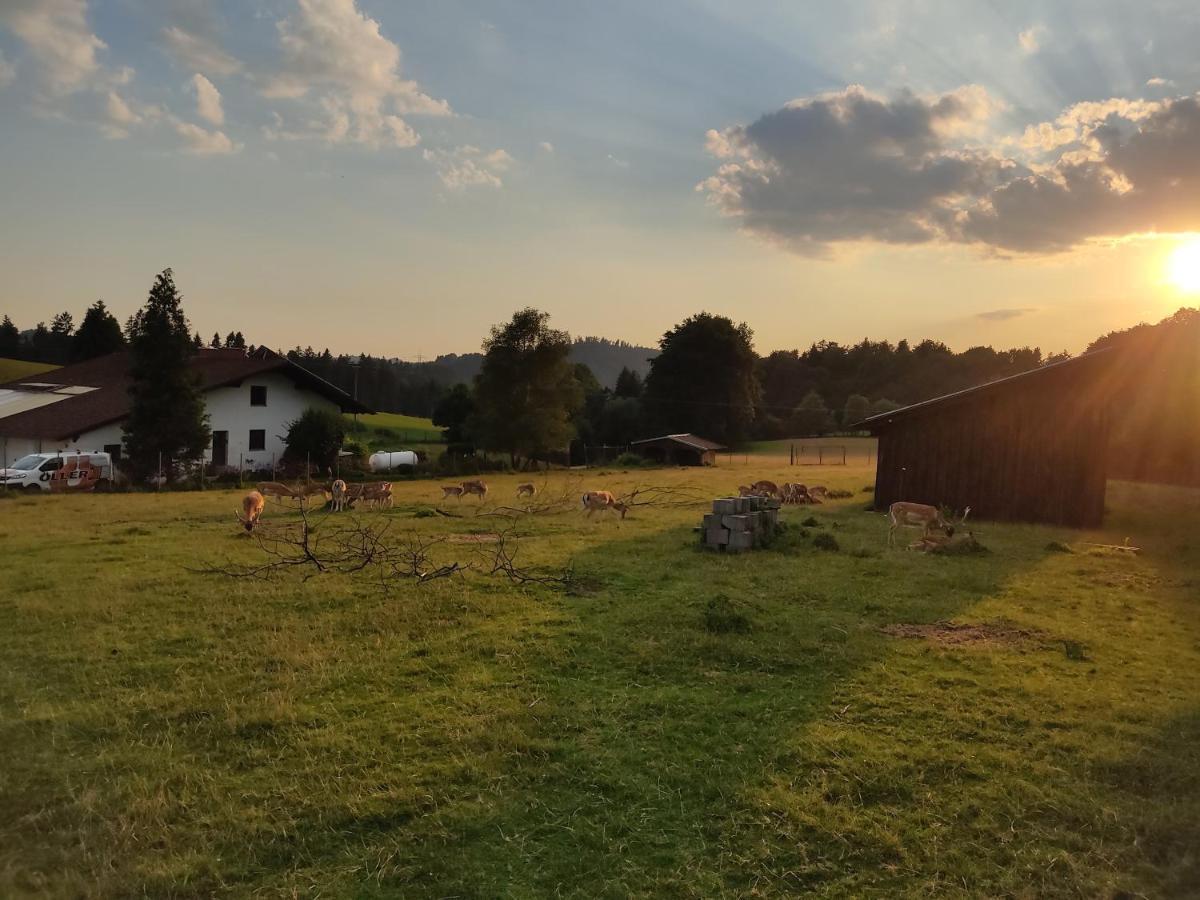 Pension Bachlhof Fursteneck 외부 사진